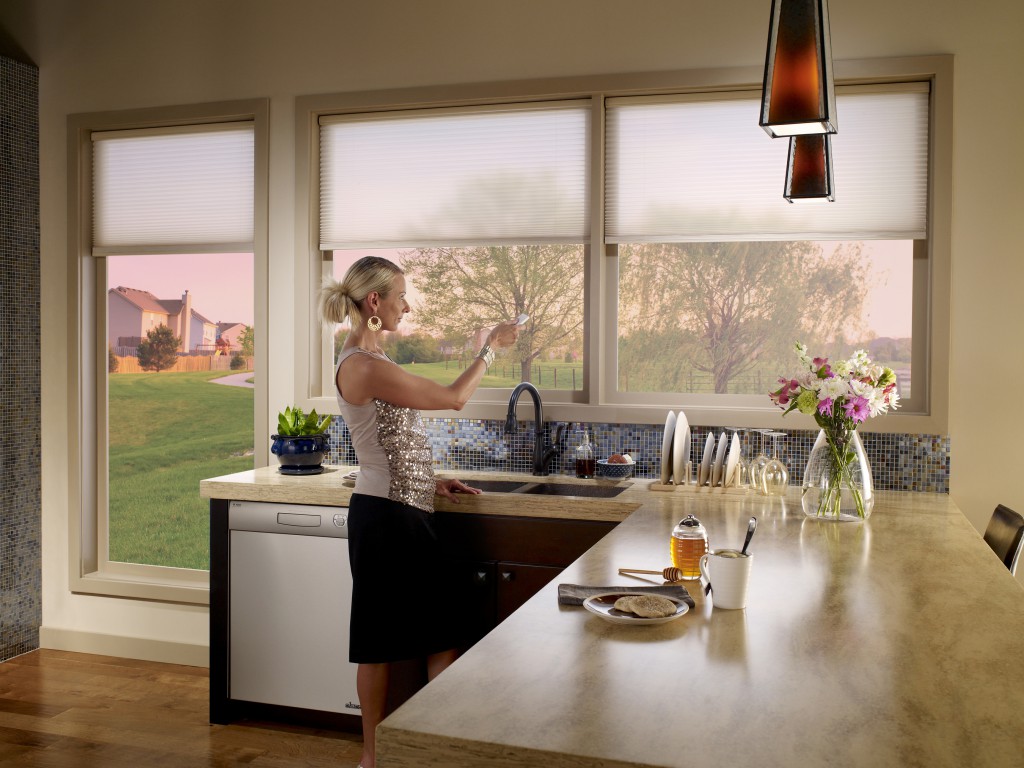 Motorized Shades by Lutron: An Easy, Affordable One-Touch Solution